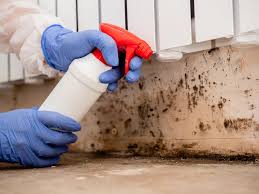 Best Industrial Mold Remediation  in Gateway, FL